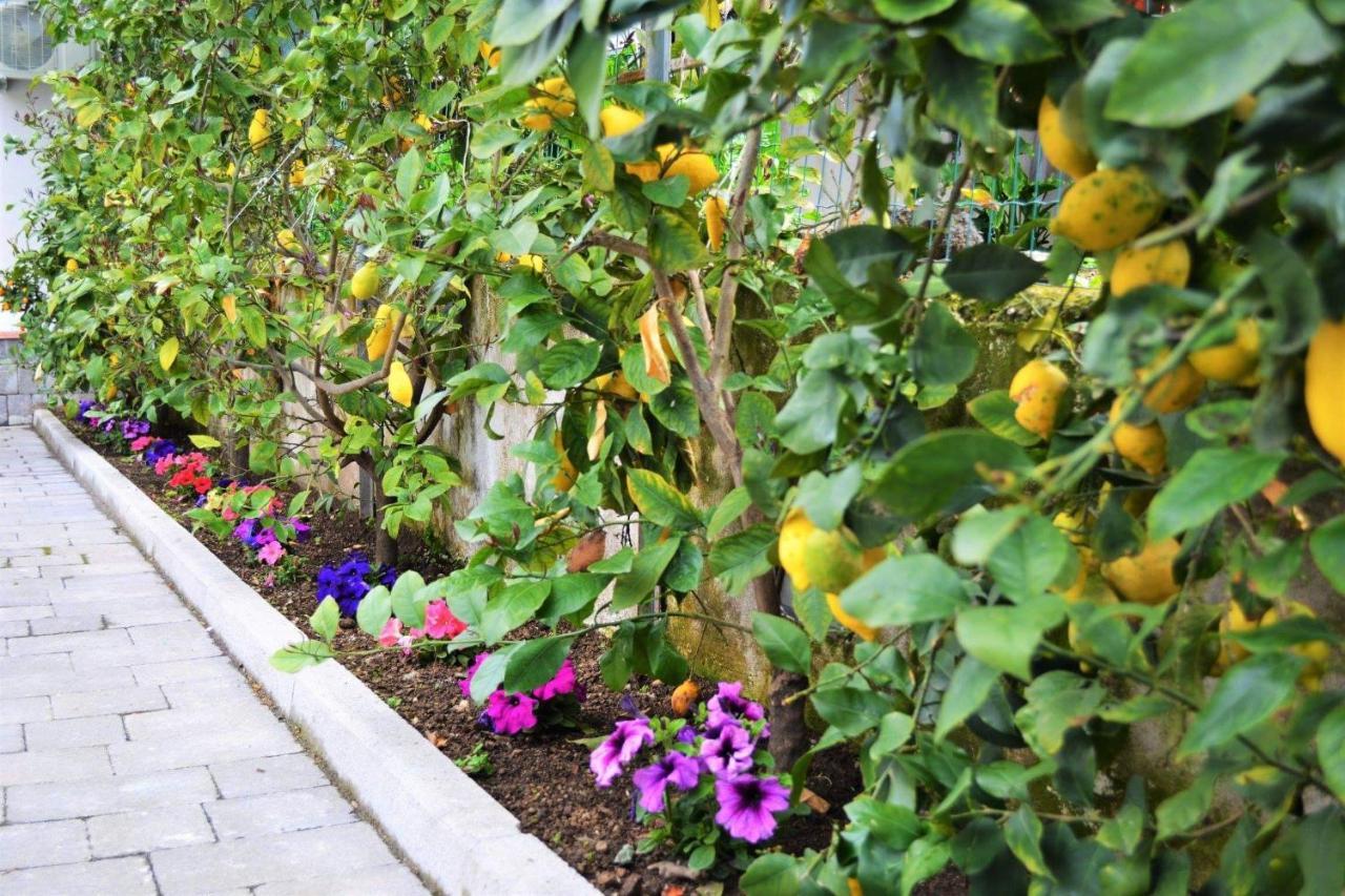 Casa Fiorita Acomodação com café da manhã Gragnano Exterior foto